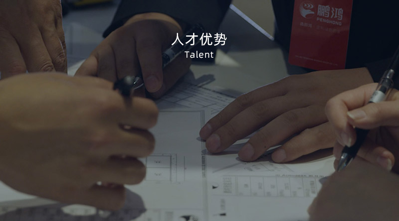 太阳城官网人才优势
