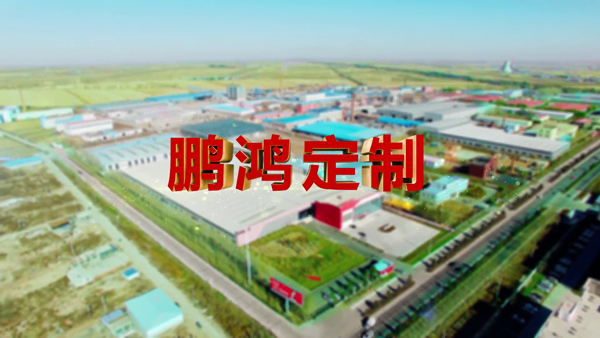 太阳城官网产品纪录片之定制篇