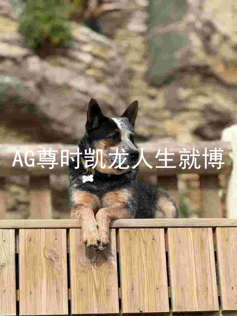 AG尊时凯龙人生就博
