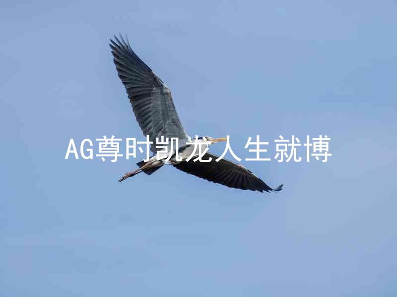 AG尊时凯龙人生就博